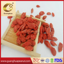 Best Quality Dried Organic Ningxia Goji Berry From China